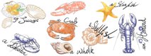 Wallpaper Les petits habitants du rivage
