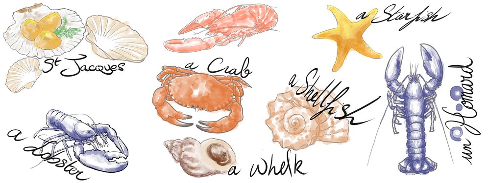 Wallpaper Les petits habitants du rivage