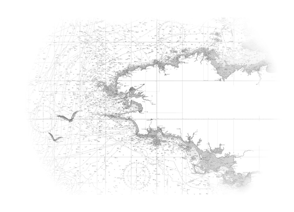 wallpaper Carte blanche