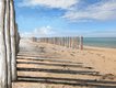 wallpaper Esquisse d' un rivage