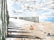 wallpaper Souffle d'aquarelle sur la plage