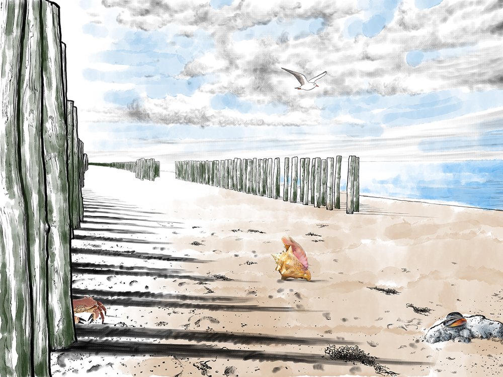 wallpaper Souffle d'aquarelle sur la plage