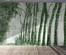 forêt au crayon vert