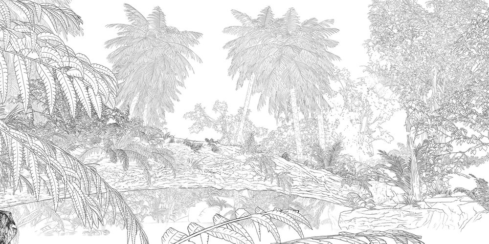 un monde libre et sauvage 2 crayon