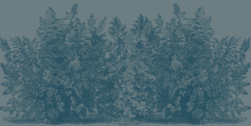 wallpaper blue bushes