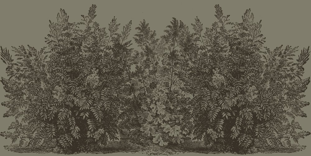 wallpaper sepia bushes