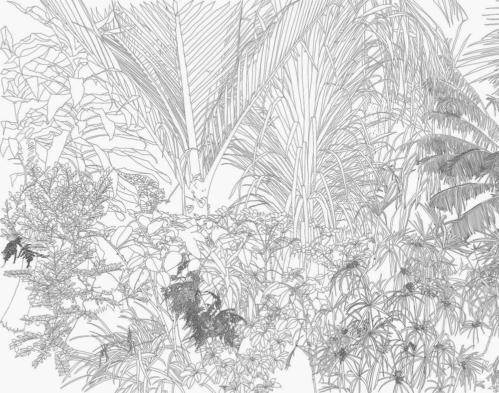Increation | wallpaper Jungle Cartoon in black and white