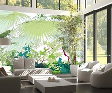 cartoon-like jungle wallpaper  on a living room wall