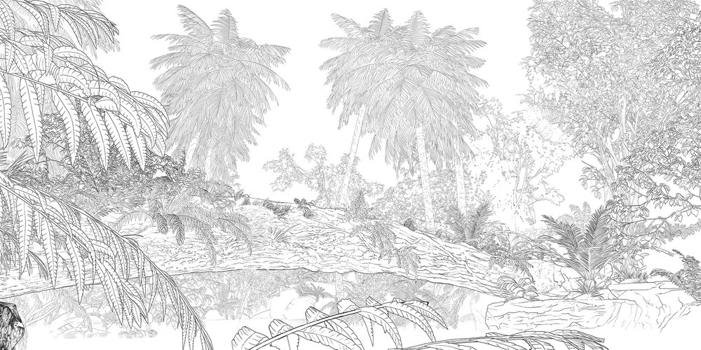 Jungle cartoon N&B 3