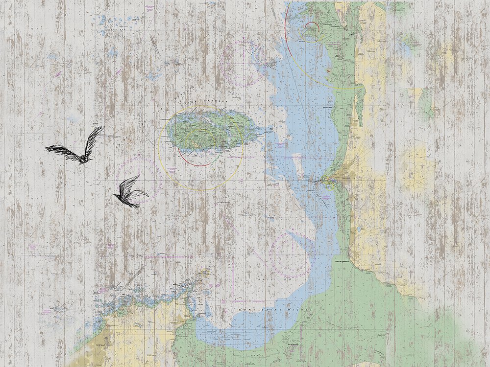 wallpaper Lambris worn carte
