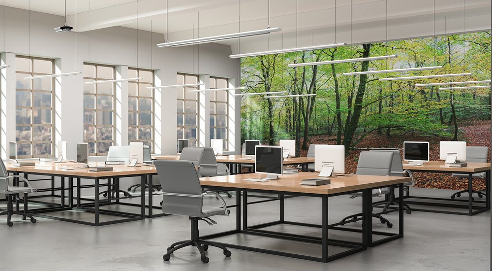 Forêt 7 - Couleurs d'Automne