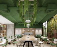 Forêt 8 - Hauteur d'Automne