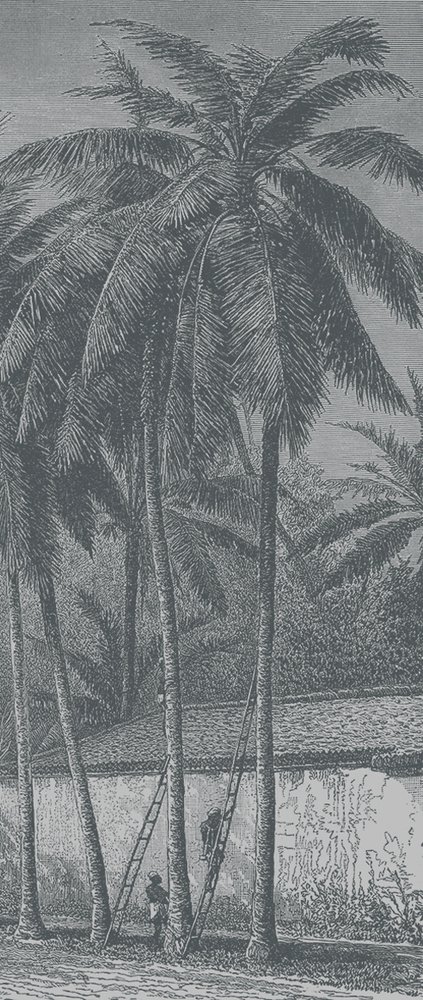 door 4 grey palm trees