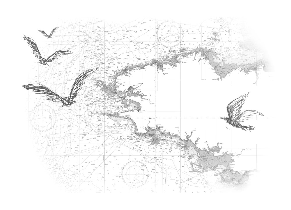 wallpaper Carte blanche