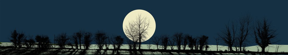 arbres et clair de lune