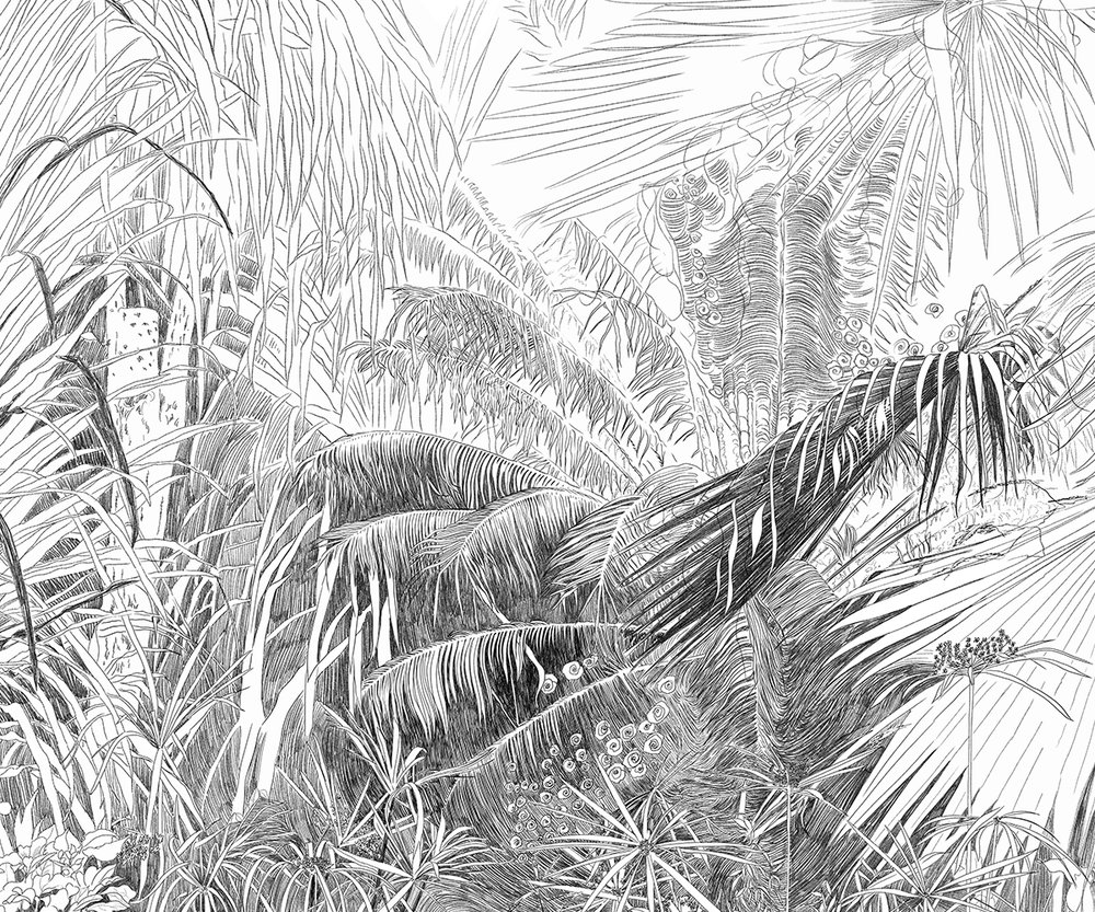 forêt tropicale au crayon