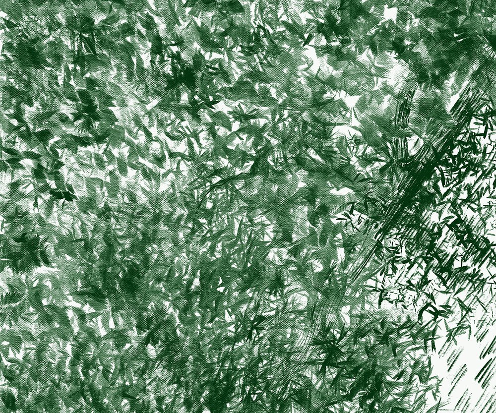 forêt au crayon vert